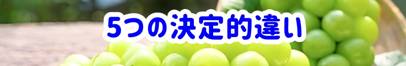 5つの決定的違い