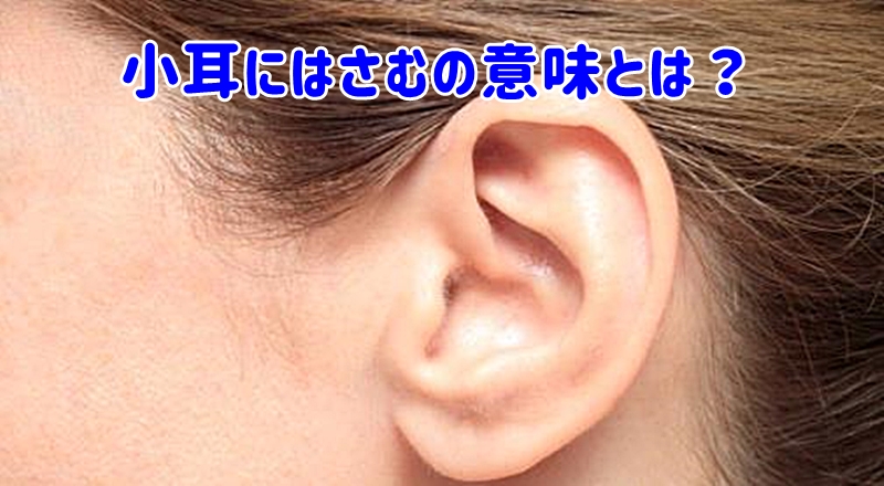 小耳にはさむ