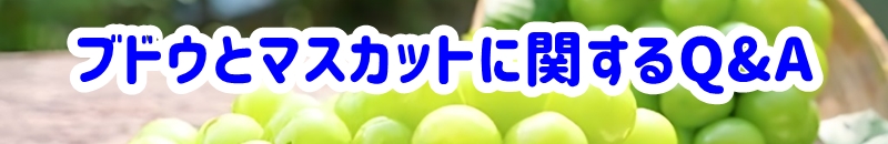 ブドウとマスカットに関するQ&A