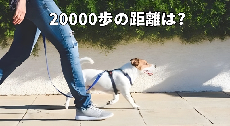 20000歩の距離