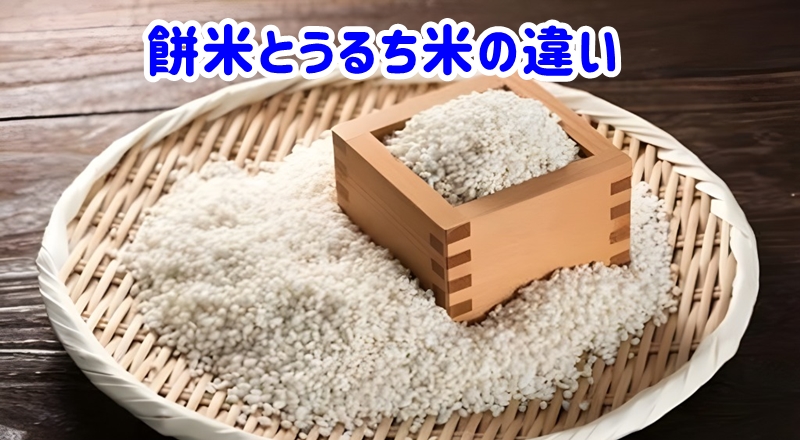 餅米とうるち米の違い