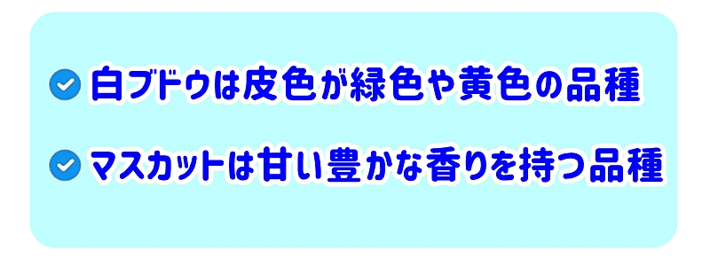 白ブドウとマスカットの違い
