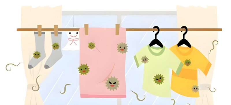 洗濯物の部屋干し臭