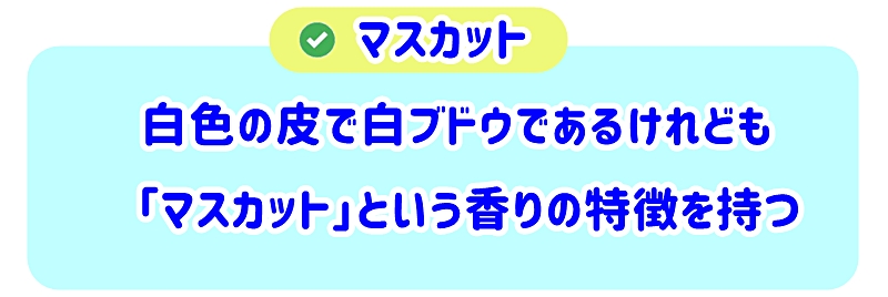 マスカットの特徴
