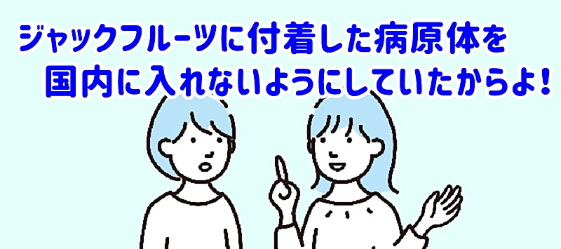 病原体などの国内への持ち込みを懸念したからなのよと話す女性
