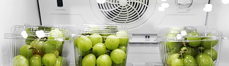 冷蔵庫に保存する様子