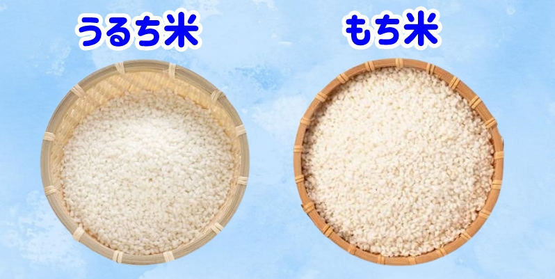 餅米とうるち米の比較写真