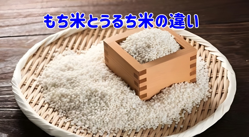 もち米とうるち米