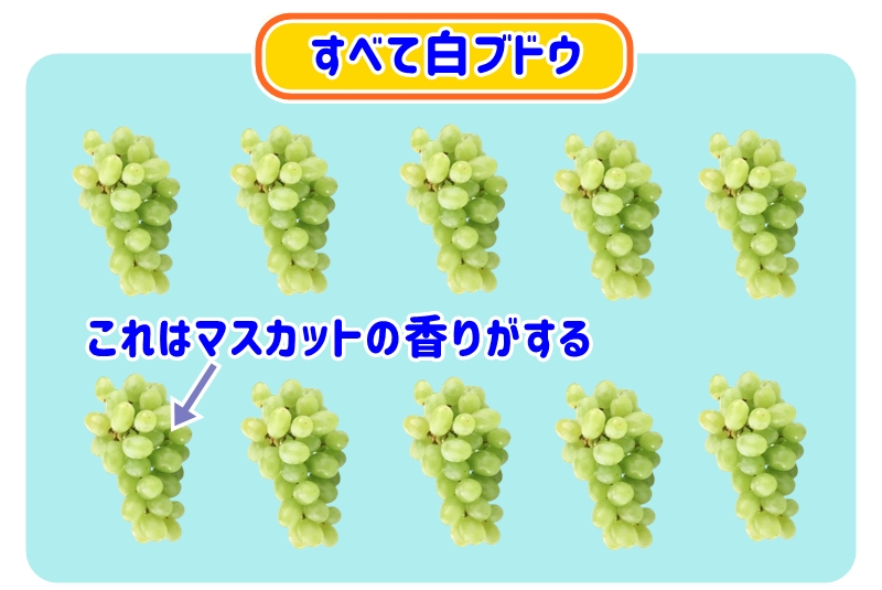 白ブドウの中にあるシャインマスカット