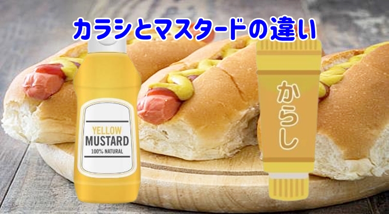 カラシとマスタードの違い