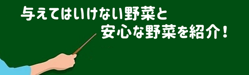 安全な野菜を紹介