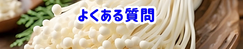 よくある質問(Q&A)