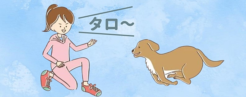 愛犬の名前を呼ぶ