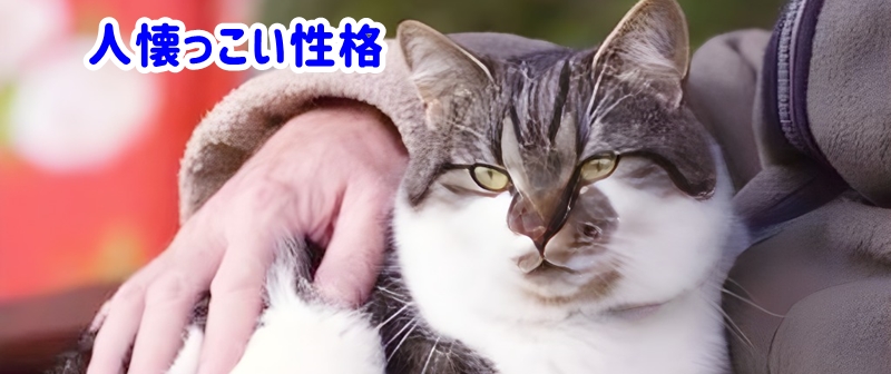 人懐っこい性格