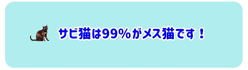 サビ猫は99%がメス猫