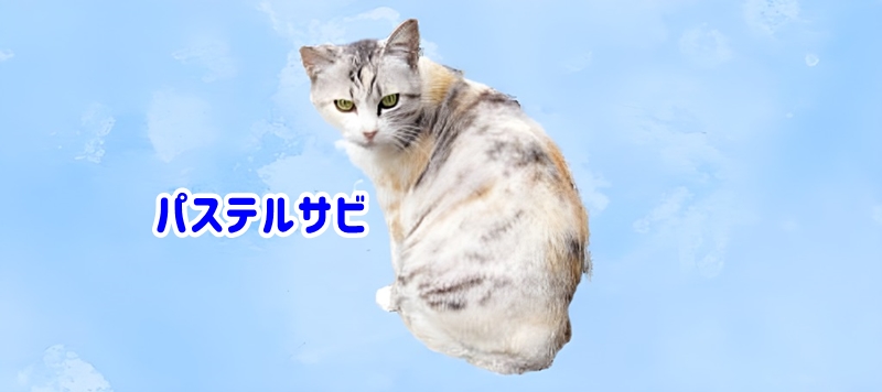 パステルサビ