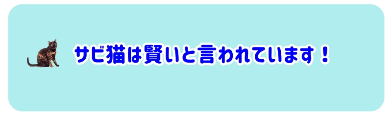 サビ猫は賢い