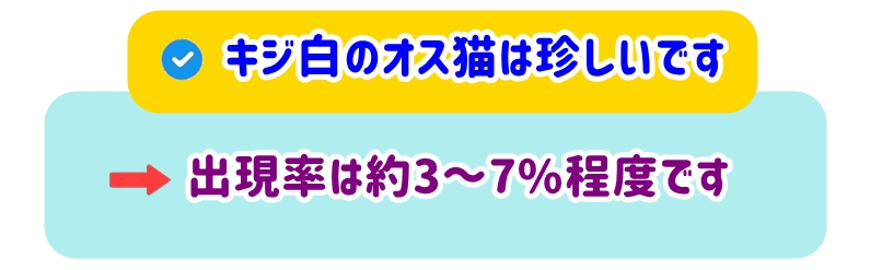 キジ白のオス猫は珍しい存在です