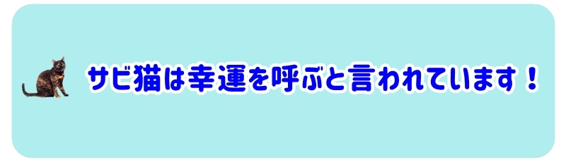 サビ猫は幸運を呼ぶと言われています