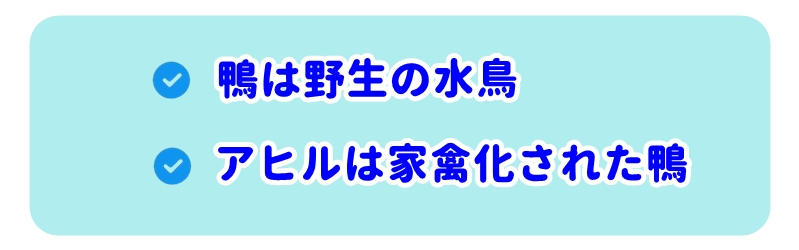 アヒルと鴨の違い