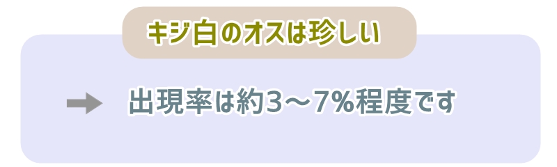 キジ白のオス猫は珍しい存在です