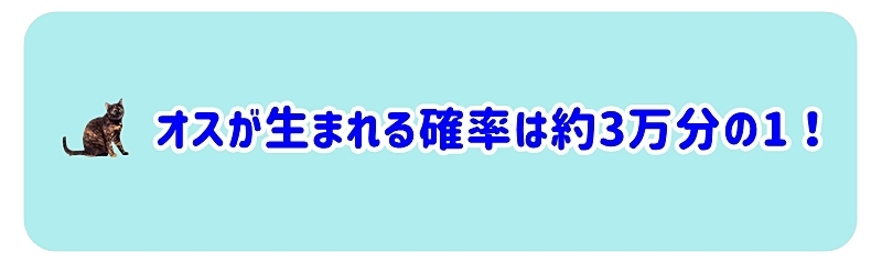 オスが生まれる確率は約3万分の1