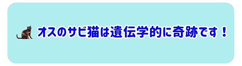オスのサビ猫は遺伝学的な「奇跡」です
