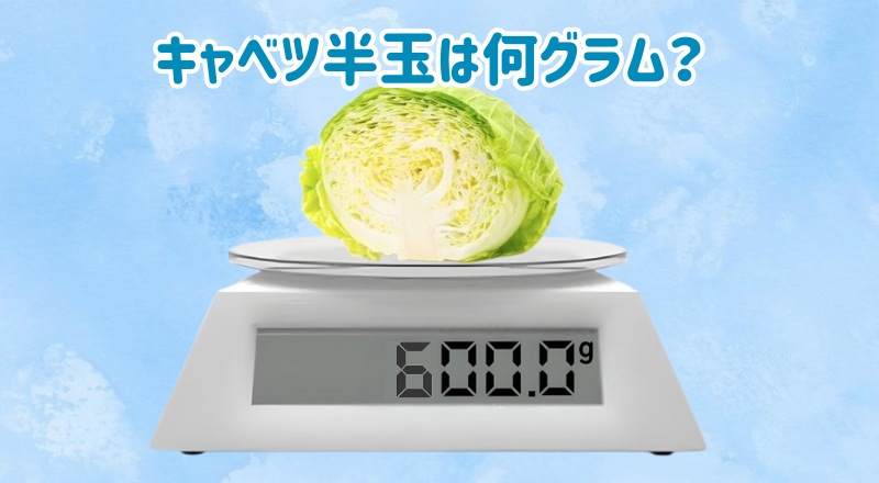 キャベツ半玉