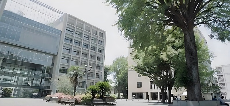 慶應義塾大学経済学部