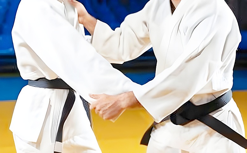 柔道をする様子