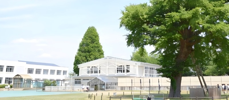 出身中学校の茨城大学教育学部附属小学校の校舎
